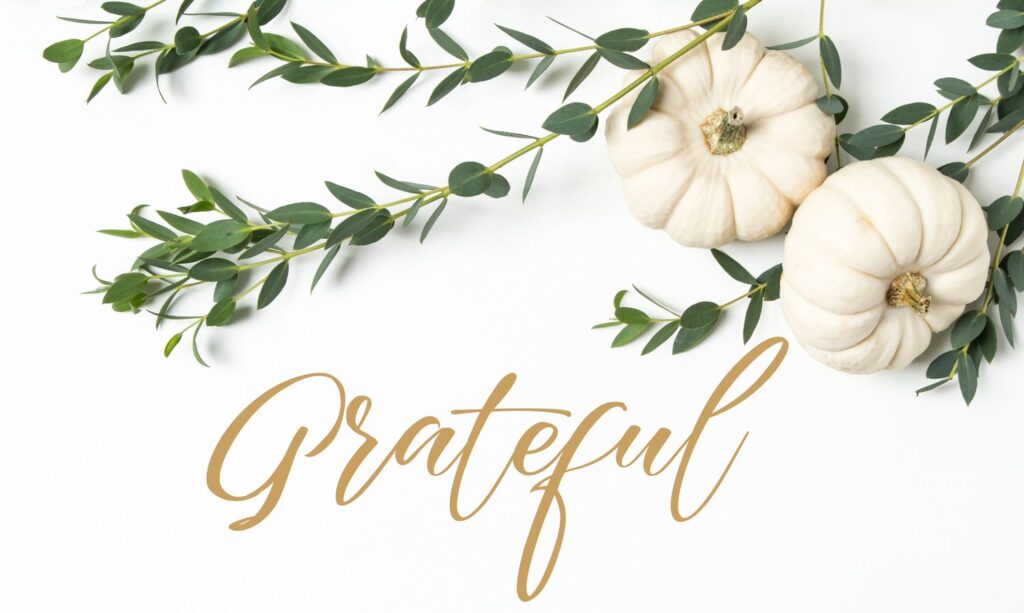 Grateful for Good Health → Look and feel your best for the Holidays this year! - Vitamin Health Infusion