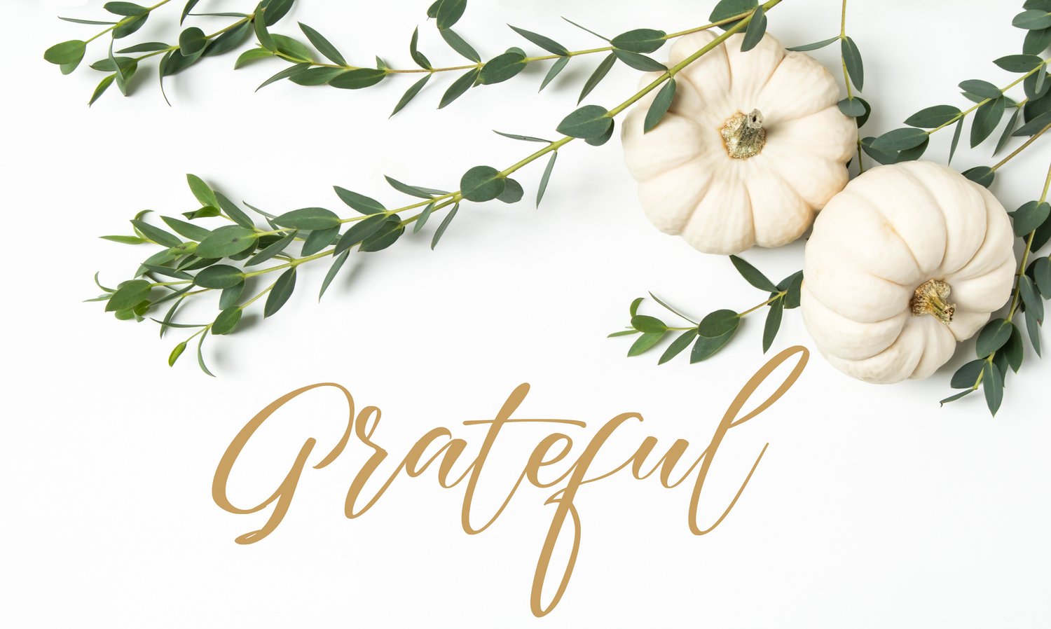 Grateful for Good Health → Look and feel your best for the Holidays this year! - Vitamin Health Infusion